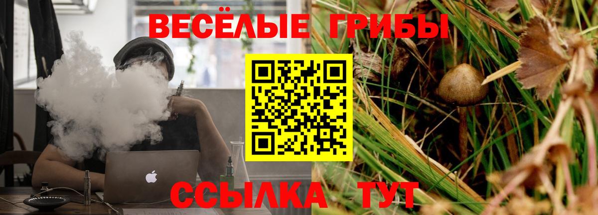 Галлюциногенные грибы GOLDEN TEACHER Дмитров