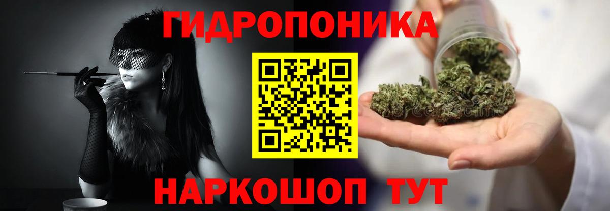 Конопля марихуана Дмитров